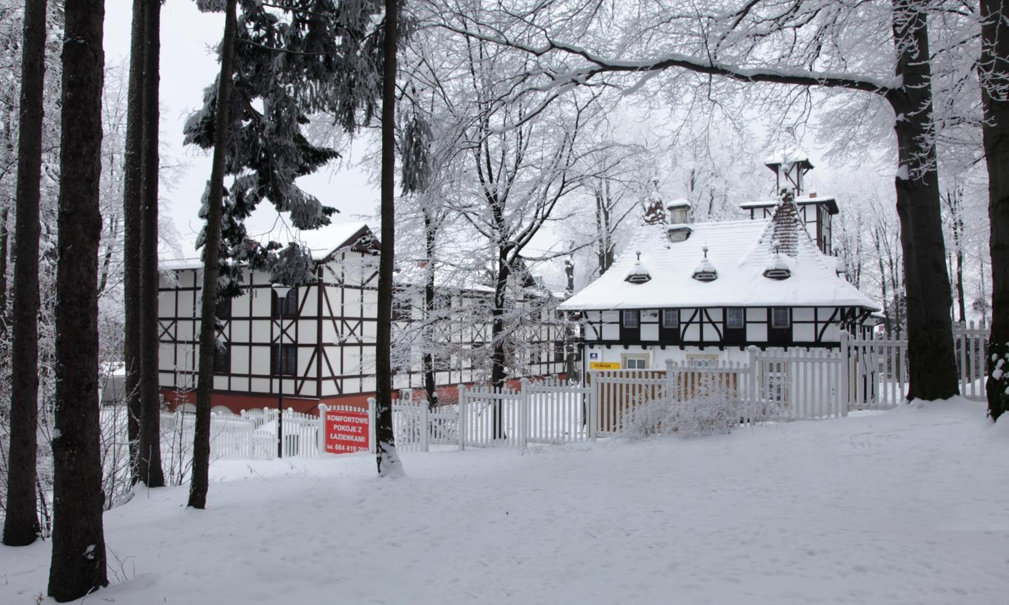 Bukowy Dworek Szczawno-Zdroj Exterior photo
