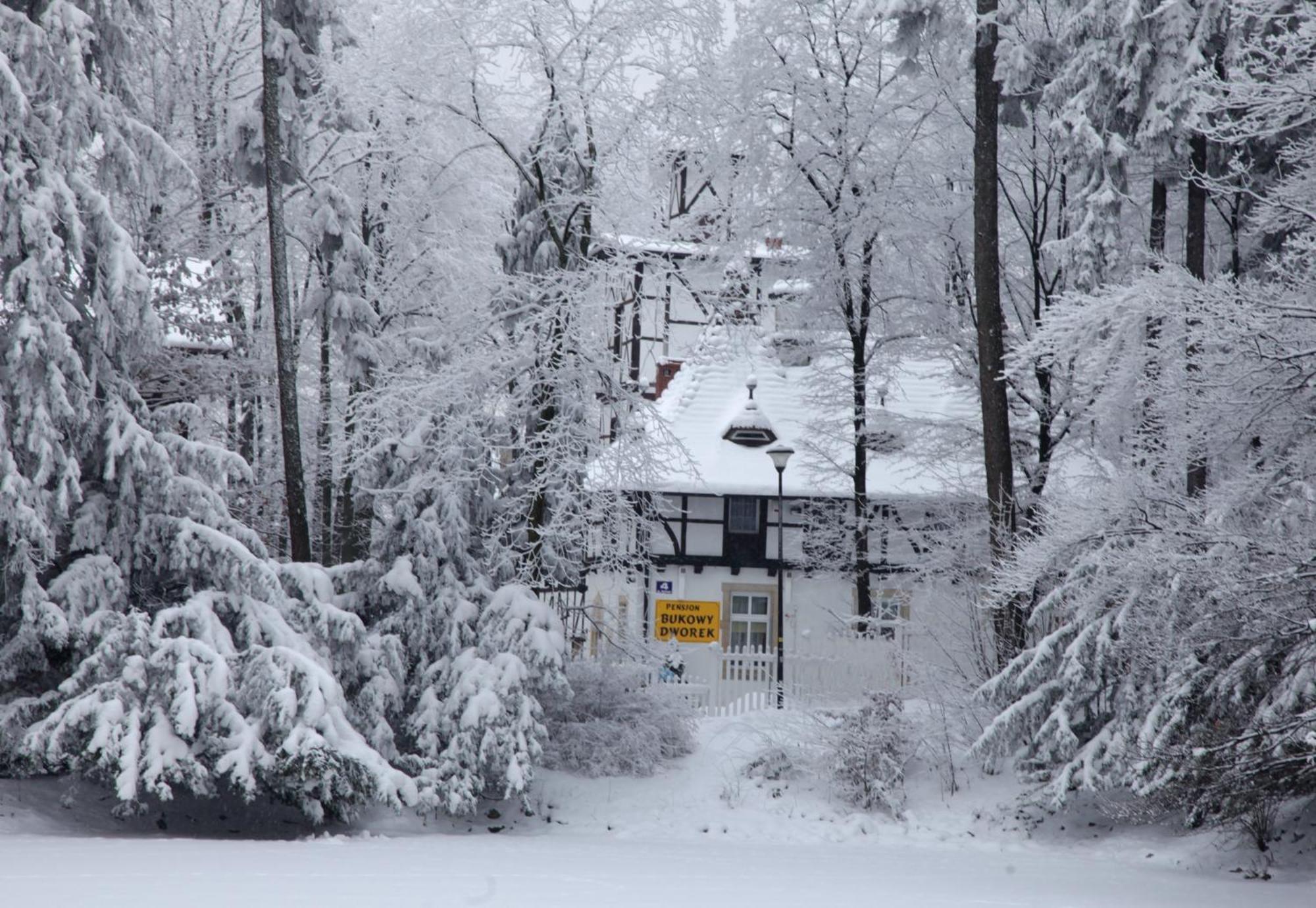 Bukowy Dworek Szczawno-Zdroj Exterior photo