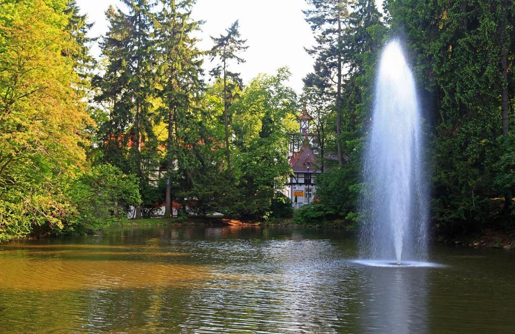 Bukowy Dworek Szczawno-Zdroj Exterior photo